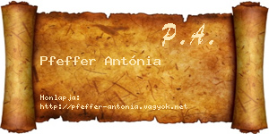 Pfeffer Antónia névjegykártya